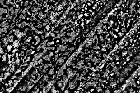 Abstract background. Monochrome texture. Image includes a effect the black and white tones.