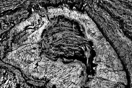 Abstract background. Monochrome texture. Image includes a effect the black and white tones.の写真素材