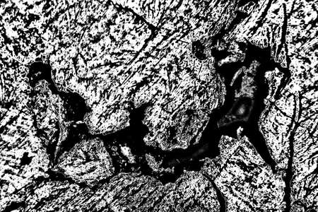 Abstract background. Monochrome texture. Image includes a effect the black and white tones.の写真素材