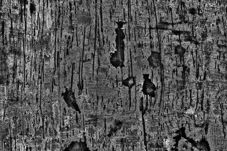 Abstract background. Monochrome texture. Image includes a effect the black and white tones.の写真素材
