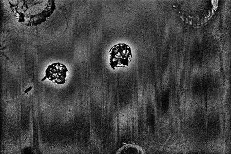 Abstract background. Monochrome texture. Image includes a effect the black and white tones.の写真素材