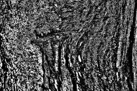 Abstract background. Monochrome texture. Image includes a effect the black and white tones.の写真素材