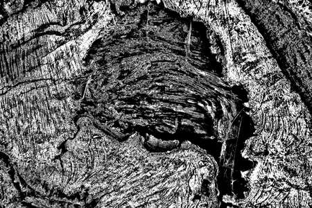 Abstract background. Monochrome texture. Image includes a effect the black and white tones.の写真素材