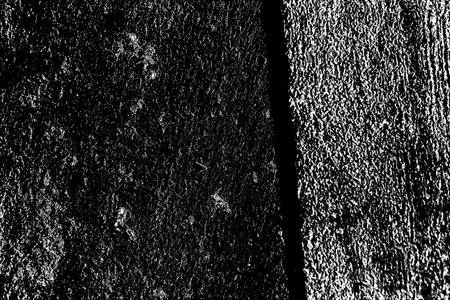 Abstract background. Monochrome texture. Image includes a effect the black and white tones.の写真素材