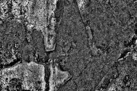 Abstract background. Monochrome texture. Image includes a effect the black and white tones.の写真素材