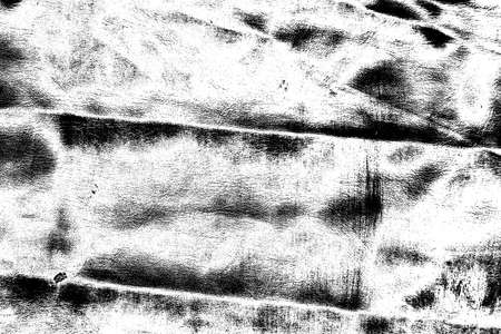 Abstract background. Monochrome texture. Image includes a effect the black and white tones.の写真素材