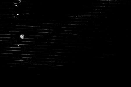 Abstract background. Monochrome texture. Image includes a effect the black and white tones.の写真素材