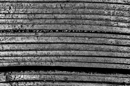 Abstract background. Monochrome texture. Image includes a effect the black and white tones.の写真素材