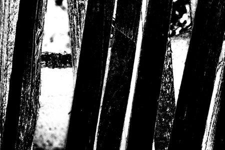 Abstract background. Monochrome texture. Image includes a effect the black and white tones.の写真素材