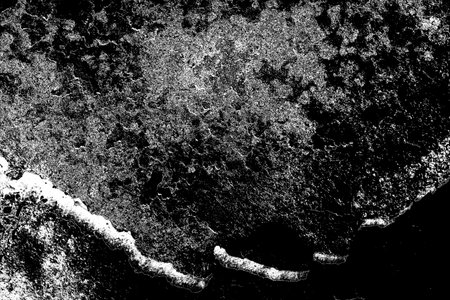 Abstract background. Monochrome texture. Image includes a effect the black and white tones.の写真素材