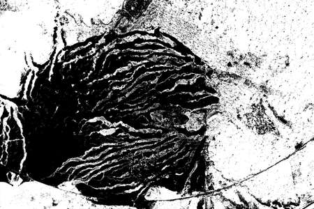 Abstract background. Monochrome texture. Image includes a effect the black and white tones.の写真素材