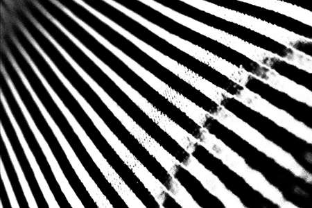 Abstract background. Monochrome texture. Image includes a effect the black and white tones.の写真素材