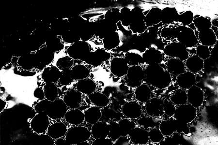 Abstract background. Monochrome texture. Image includes a effect the black and white tones.