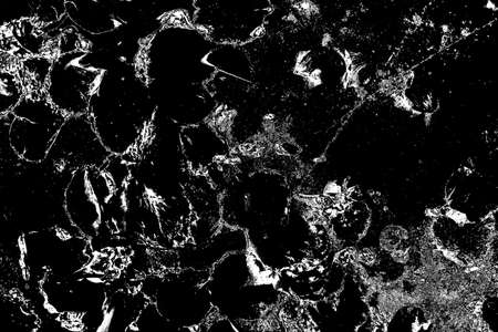 Abstract background. Monochrome texture. Image includes a effect the black and white tones.の写真素材
