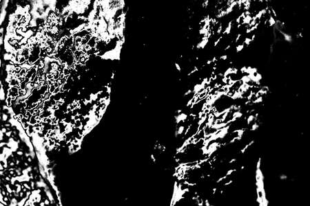 Abstract background. Monochrome texture. Image includes a effect the black and white tones.の写真素材