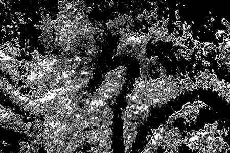Abstract background. Monochrome texture. Image includes a effect the black and white tones.の写真素材