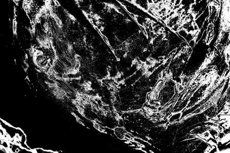 Abstract background. Monochrome texture. Image includes a effect the black and white tones.の写真素材