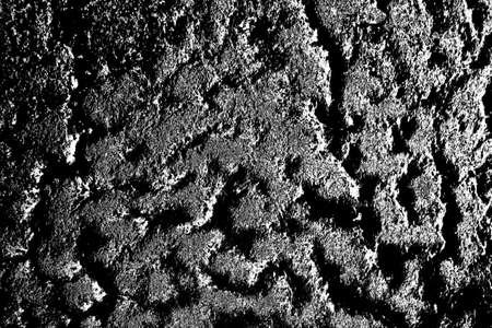 Abstract background. Monochrome texture. Image includes a effect the black and white tones.の写真素材