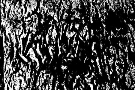 Abstract background. Monochrome texture. Image includes a effect the black and white tones.の写真素材