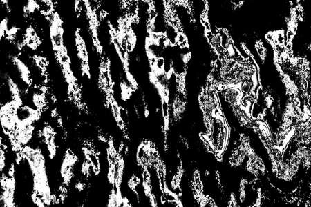 Abstract background. Monochrome texture. Image includes a effect the black and white tones.の写真素材