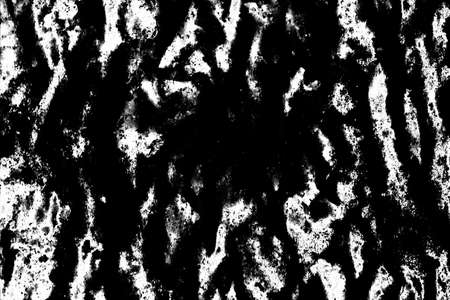 Abstract background. Monochrome texture. Image includes a effect the black and white tones.の写真素材