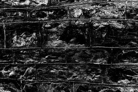 Abstract background. Monochrome texture. Image includes a effect the black and white tones.の写真素材