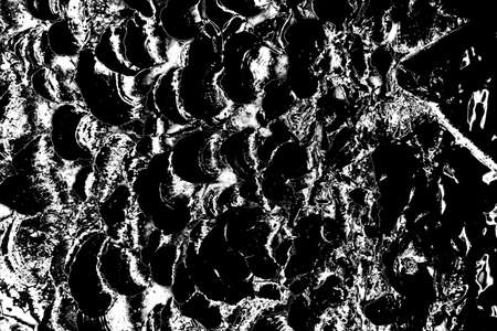 Abstract background. Monochrome texture. Image includes a effect the black and white tones.の写真素材