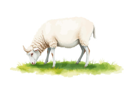 Watercolor vector illustration of a white sheep. AI generated.の素材