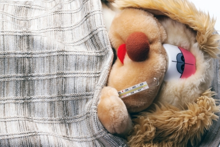 toy dog is sick and it measures the temperatureの写真素材