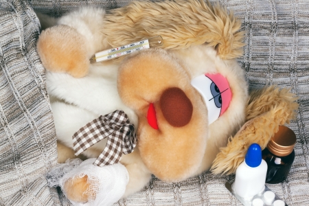 toy dog is sick and it measures the temperatureの写真素材