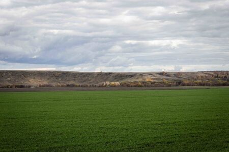 Photo panorama. green field.and the mountains fallの写真素材