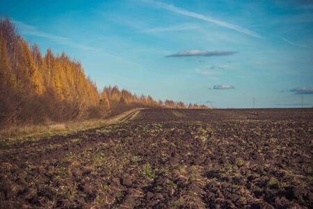 Warm autumn countryside. landscape. summer was over, autumn had come.の写真素材