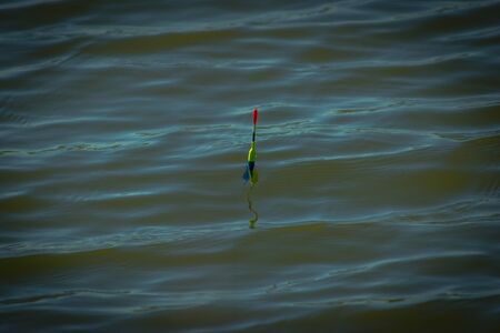 a fishing float stands in the water. fishing on the pondの写真素材