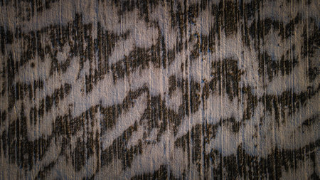 patterns made by wind and snow in the fields