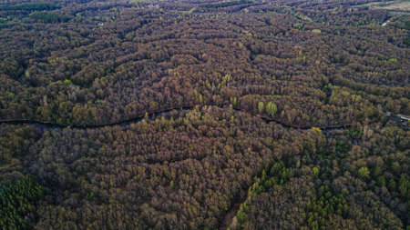 aerial photography of the river in the forest. High quality photo