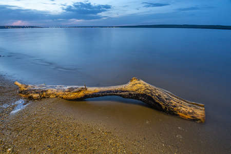 part of the tree lies on the beach. High quality photoの写真素材