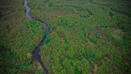 wildlife landscape in a forest area aerial photos. forest river