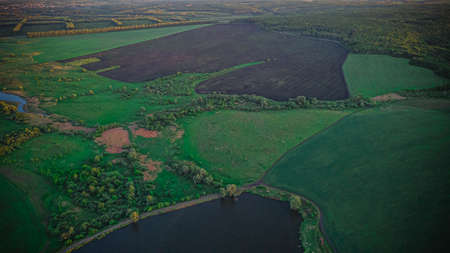 endless fields of green grass in Russia. High quality photo