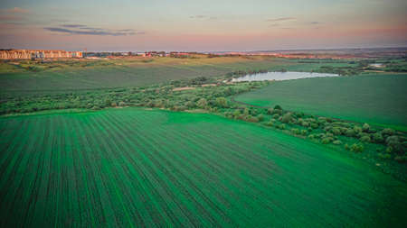 endless fields of green grass in Russia. High quality photo