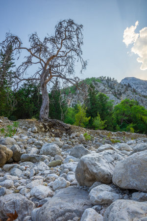 the bed of a dried-up river in the village of Beldibiの写真素材