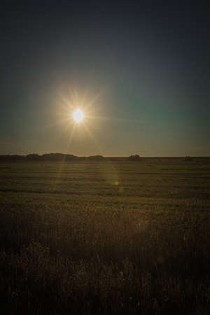 autumn nature of Sursky krai.