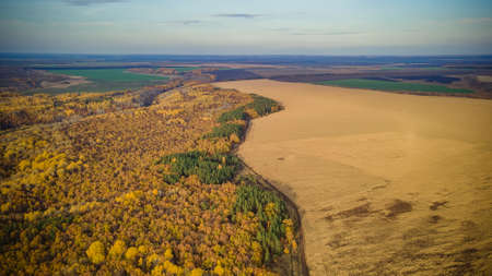 autumn nature of Sursky krai.