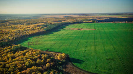 autumn nature of Sursky krai.