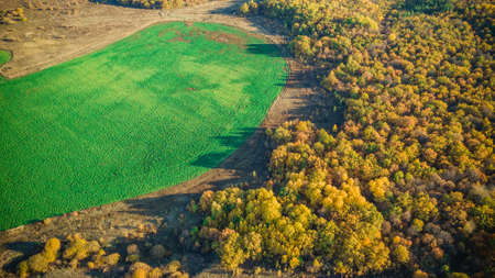 autumn nature of Sursky krai.の写真素材