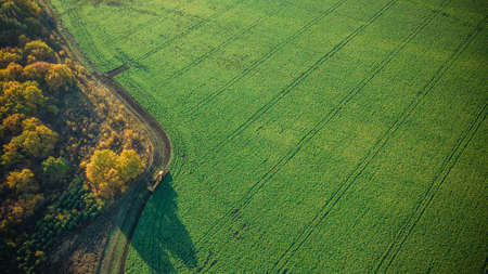 autumn nature of Sursky krai.の写真素材