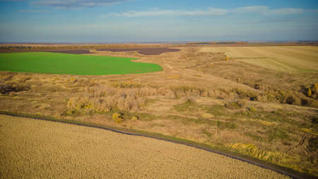 autumn nature of Sursky krai.