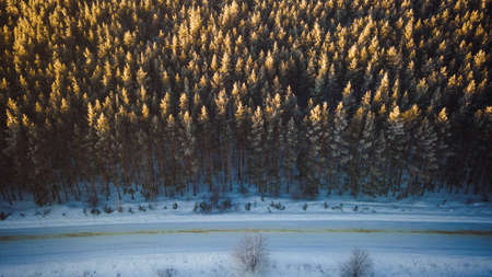 winter wildlife in the Russian federation.