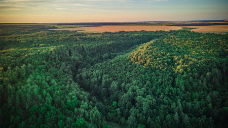 aerial photography of rural nature.の写真素材