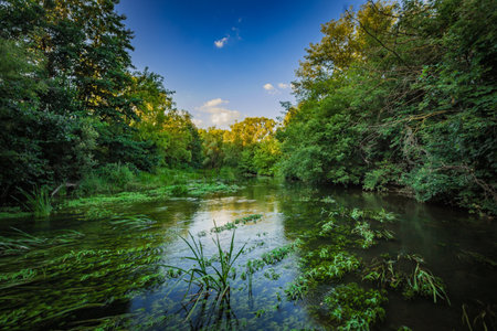 summer landscape in rural areas.の写真素材