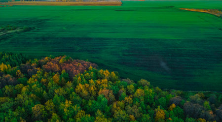 autumn wildlife in the countryside.の写真素材